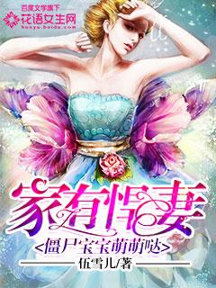 家有悍妻小视频第四集