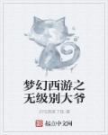 梦幻西游打无级别