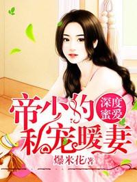 d帝少的私宠暖妻