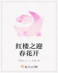 红楼之迎春传