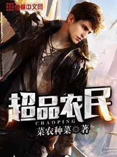 超品农民TXT全本