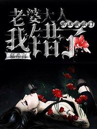 冥王夜敲门老婆大人我错了为什么没有上架