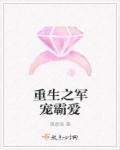 重生之军宠txt