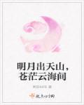 李白的明月出天山苍茫云海间