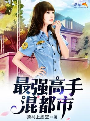 最强高手在都市境界