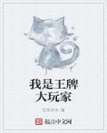 王牌大玩家类似的