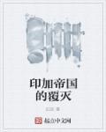 印加帝国覆灭史