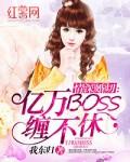 情深不晚总裁求复婚!