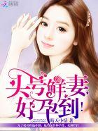 头号鲜妻令百度