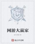 游戏大赢家