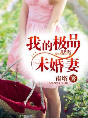 我的极品未婚妻梁