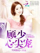 ...顾少的天价前妻