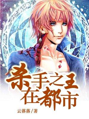 杀手之王回都市