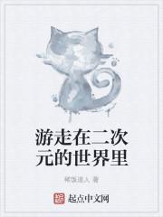 游走在二次元的世界里什么意思