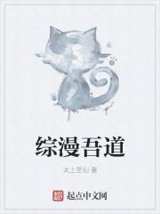 综漫之吾乃herobri