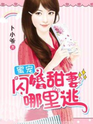 闪婚蜜宠小甜妻免费版txt