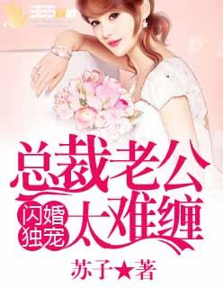 闪婚独宠总裁老公太难缠百度正版