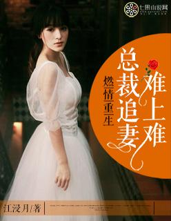 总裁重生追妻路