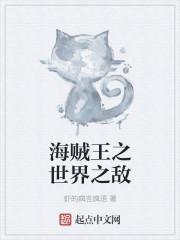 海贼世界之王zippo