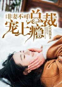 非妻不可总裁宠上瘾免费阅读