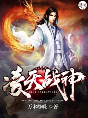 凌天战神辰天雪落兮