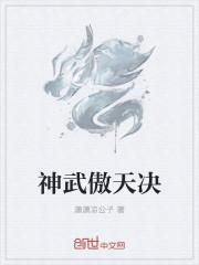 神武傲天决 潇潇凉公子