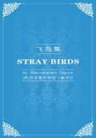 飞鸟集演员表全部