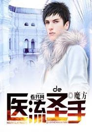 医流圣手无问西东