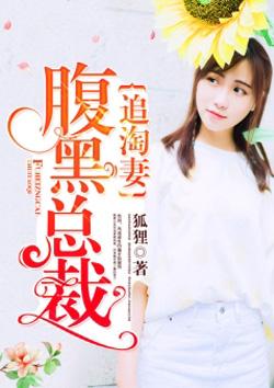 腹黑总裁追妻路免费阅读