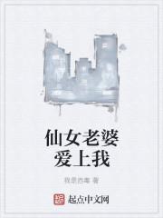 我的仙女老婆们