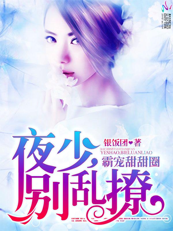 霸宠甜甜圈夜少别乱撩全文免费阅读作者银饭团