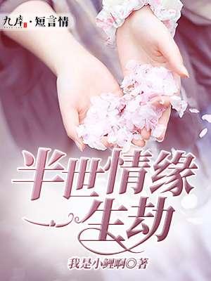 半生缘一世情剧情介绍
