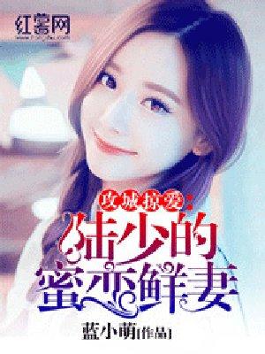 陆少的秘密恋人免费阅读