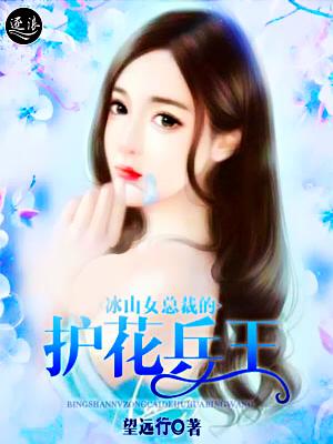 冰山女总裁的超级兵王