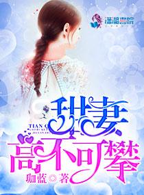 甜妻不可攀全本免费阅读