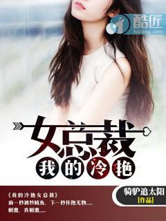 我的冷艳女总裁苏月涵与叶峰