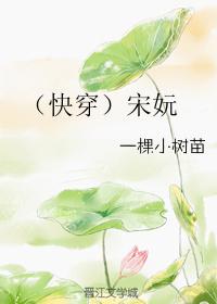 快穿宋沅