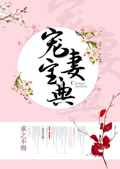 宠妻宝典百度提取码