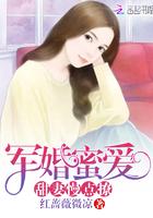 军婚蜜爱甜妻慢点撩阅读