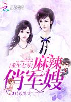 重生七零麻辣小军嫂
