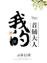 我的首辅大人无防盗章