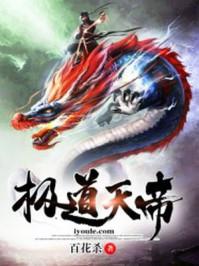 极道天帝全部作品