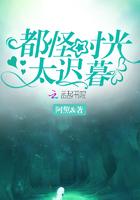 都怪时光太迟暮莫雨燕 文若轩