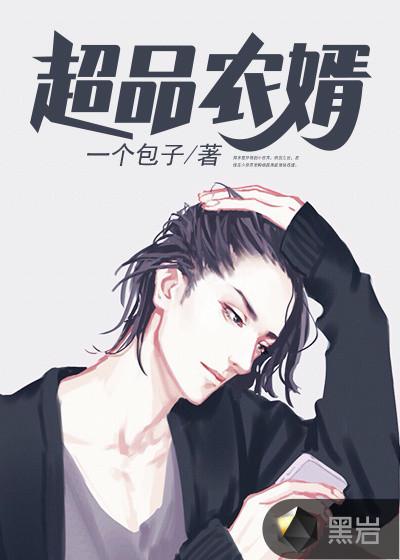 极品农婿