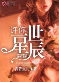 许你一世灿若星辰免费阅读