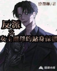 成为反派的女婿