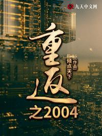 重生之重回2004