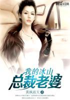 叶雄杨心怡冰山总裁老婆