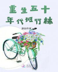 重生年代旺家小童媳