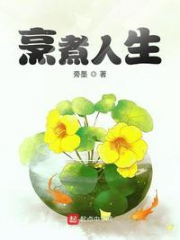 烹煮人生全集
